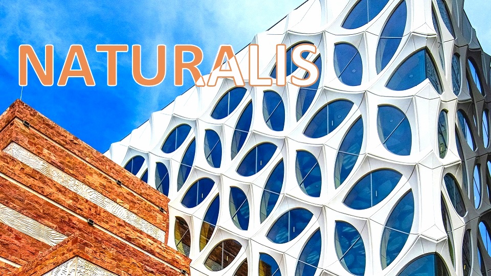 museo centro biodiversidad naturalis leiden museo centro biodiversidad naturalis leiden