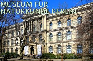 museo de historia natural de berlin